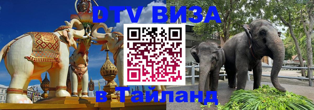 Оформление DTV визы под ключ: стоимость и тарифы, только загранпаспорт - 